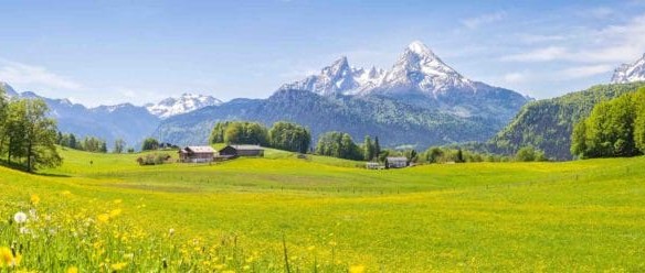 zwitserland natuur